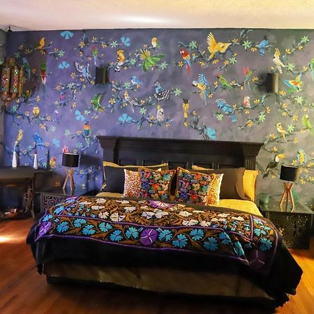 مدينة مكسيكو Boutique Hotel And Gallery In San Angel Inn المظهر الخارجي الصورة