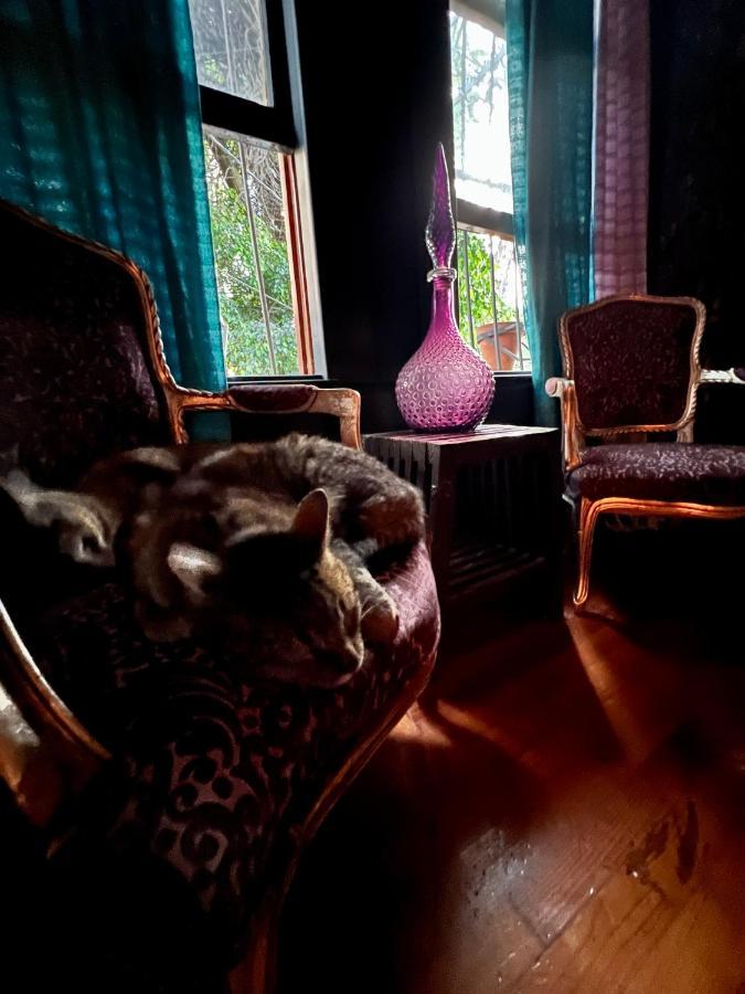 مدينة مكسيكو Boutique Hotel And Gallery In San Angel Inn المظهر الخارجي الصورة