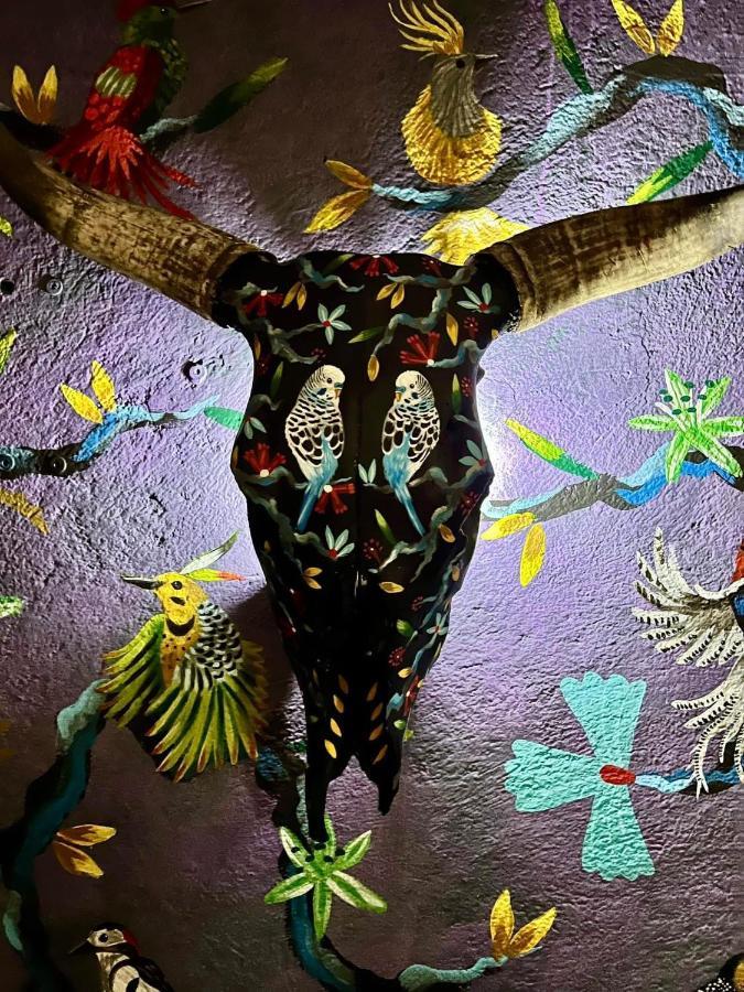 مدينة مكسيكو Boutique Hotel And Gallery In San Angel Inn المظهر الخارجي الصورة